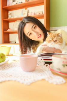 泰罗